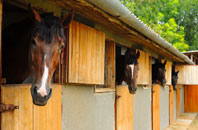 free Newpound Common stable construction quotes
